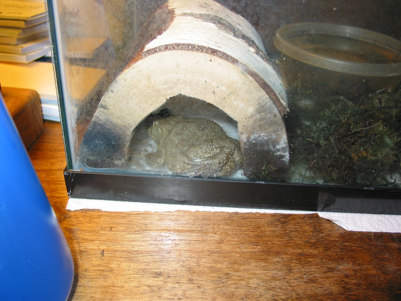 111-1115_IMG.JPG