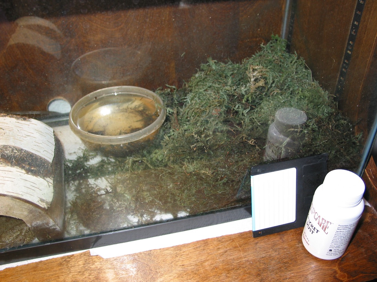 111-1116_IMG.JPG