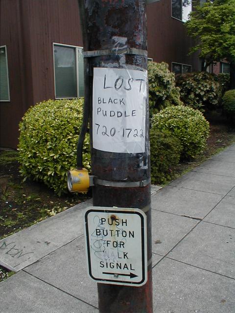 The original flyer