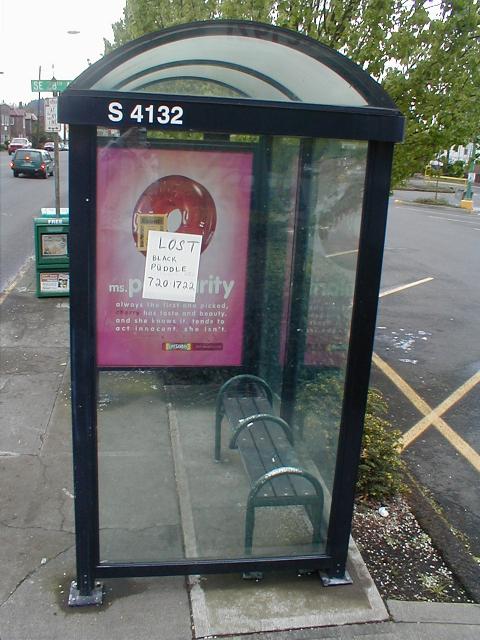 On a bus shelter